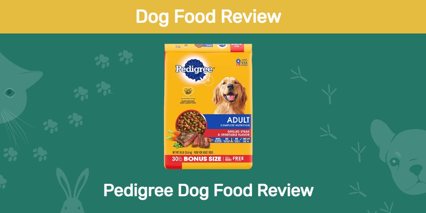 Pedigree Dog Food Review in 2022 Recalls and Pros & Cons